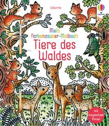 Mein Farbenzauber-Malbuch: Tiere des Waldes
