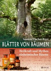 Bl&auml;tter von B&auml;umen