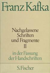 Nachgelassene Schriften und Fragmente, in der Fassung der Handschriften 2