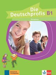 Die Deutschprofis B1