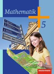 Mathematik - Ausgabe 2014 f&uuml;r die 5. Klasse Sekundarstufe I