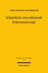 Schutzl&uuml;cke intersektionale Diskriminierung?