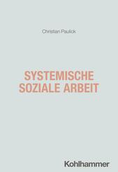 Systemische Soziale Arbeit