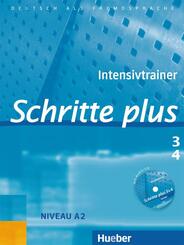 Intensivtrainer, m. Audio-CD