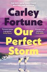 Our Perfect Storm