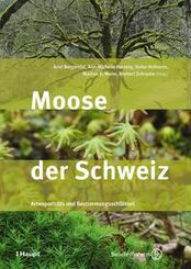 Moose der Schweiz