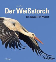 Der Wei&szlig;storch