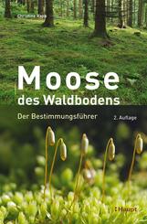 Moose des Waldbodens