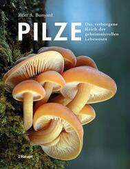 Pilze