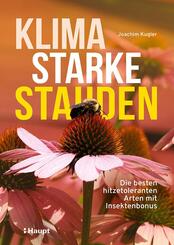 Klimastarke Stauden