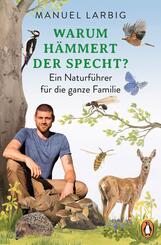 Warum h&auml;mmert der Specht?