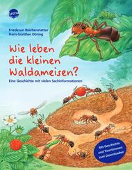 Wie leben die kleinen Waldameisen?, m. Audio-CD