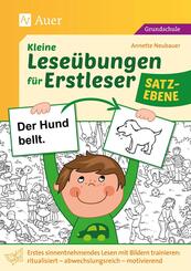 Kleine Lese&uuml;bungen f&uuml;r Erstleser - Satzebene