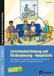 Lernstandserhebung und F&ouml;rderplanung - Hauptstufe