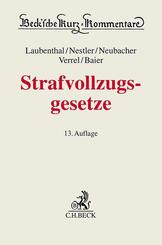 Strafvollzugsgesetze