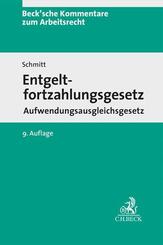 Entgeltfortzahlungsgesetz. EFZG AAG