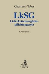 Lieferkettensorgfaltspflichtengesetz. LkSG