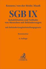 SGB IX