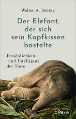 Der Elefant, der sich sein Kopfkissen bastelte