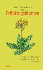 Bilder-Atlas der Fr&uuml;hlingsblumen