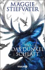 Wo das Dunkel schl&auml;ft