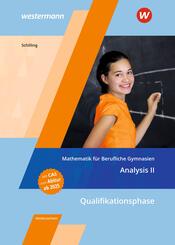 Mathematik f&uuml;r Berufliche Gymnasien Niedersachsen