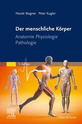 Der menschliche K&ouml;rper