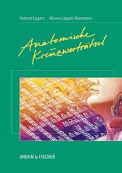Anatomische Kreuzwortr&auml;tsel