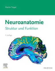 Neuroanatomie