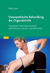 Osteopathische Behandlung der Organaktivit&auml;t