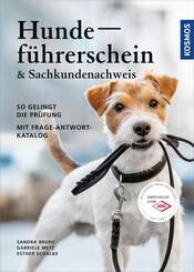 Hundef&uuml;hrerschein & Sachkundenachweis