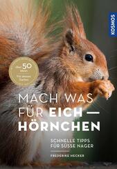 Mach was f&uuml;r Eichh&ouml;rnchen