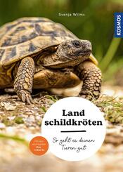 Landschildkr&ouml;ten
