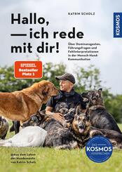 Hallo, ich rede mit dir!
