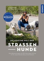 Die geheime Welt der Stra&szlig;enhunde