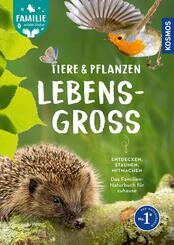 Tiere und Pflanzen lebensgro&szlig;