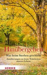 Hin&uuml;bergehen