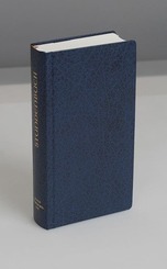 Feier des Stundengebetes - Ausgabe S. (ohne Einsteckvorrichtung und... / Advent und Weihnachtszeit