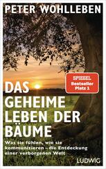 Das geheime Leben der B&auml;ume