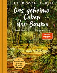 Das geheime Leben der B&auml;ume