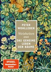 Weisheiten aus &raquo;Das geheime Leben der B&auml;ume&laquo;