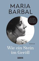 Wie ein Stein im Ger&ouml;ll