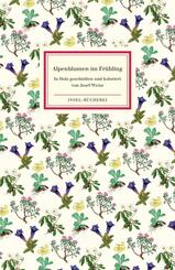 Alpenblumen im Fr&uuml;hling