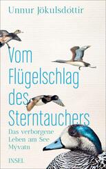 Vom Fl&uuml;gelschlag des Sterntauchers