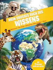 Mein gro&szlig;es Buch des Wissens