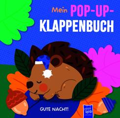 Mein Pop-Up-Klappenbuch - Gute Nacht