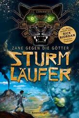 Zane gegen die G&ouml;tter, Band 1 - Sturml&auml;ufer