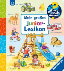 Wieso? Weshalb? Warum? Sonderband - Mein gro&szlig;es junior-Lexikon
