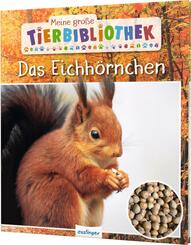 Meine gro&szlig;e Tierbibliothek: Das Eichh&ouml;rnchen