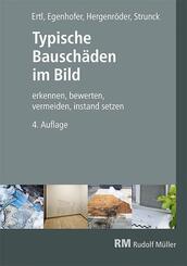 Typische Bausch&auml;den im Bild